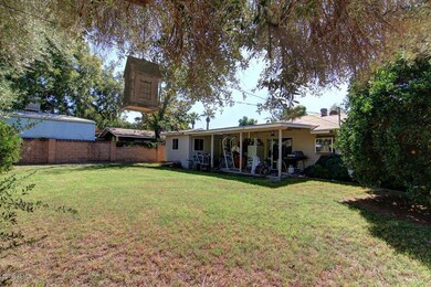 Backyard_4001