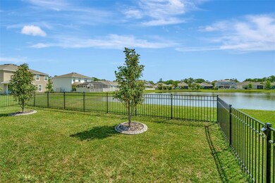 16633 Mooner Plank Cir, Wimauma, FL 33598 - photo 5