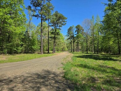 4 Tbd Big Cedar Oklahoma, Big Cedar, OK 74939 - photo 7