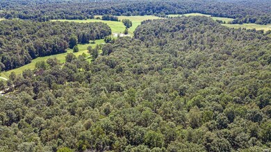 0 County Road 4611, Beaver Dam Township, MO 63901 - photo 2