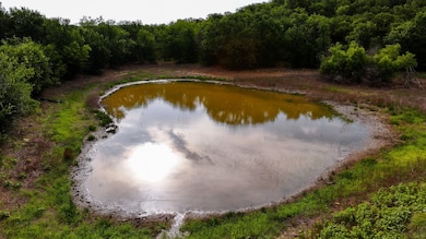 0000 Fm 61, Graham, TX 76450 - photo 5
