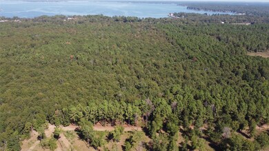 TBD Farm To Market Road 2457, Livingston, TX 77351 - photo 5