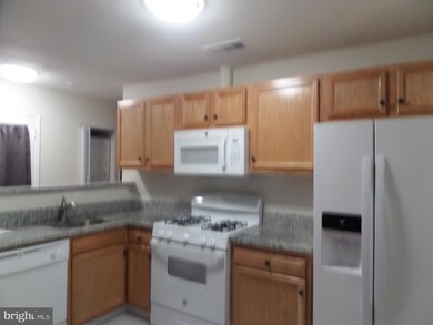 3902 Lawrence Ave, Kensington, MD 20895 - photo 3