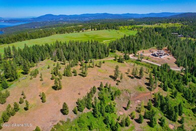 NKA 1A Skyview Rd, Harrison, ID 83833 - photo 6