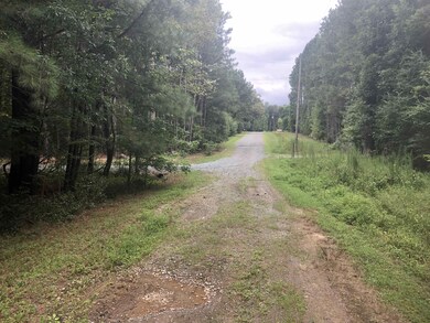 408 Milliken Rd, Pittsboro, NC 27312 - photo 7