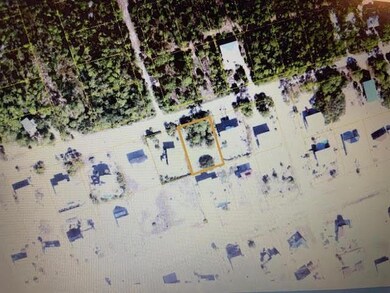 764 E Pine Ave unit 4, St. George Island, FL 32328 - photo 4