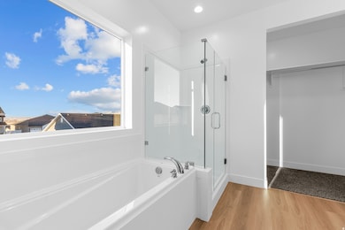 Bathroom with wood finished floors, a bath, a shower stall, a spacious closet, and recessed lighting