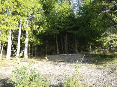 Lakefront Cleared Building Site
