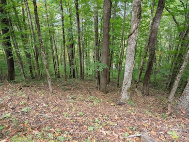 0 MacAllan Dr unit 16, Waynesville, NC 28786 - photo 6