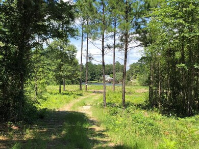 View from road leading to lot