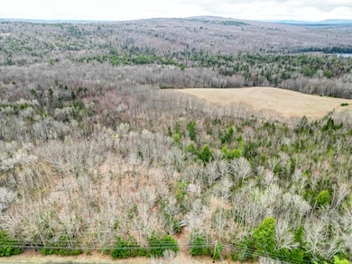 TBD Chipmunk Ln, Hartland, ME 04943 - photo 7