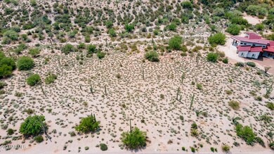 0003-01-Mesquite
