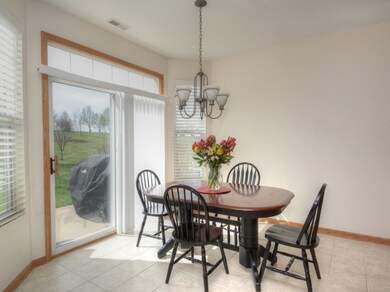 6542 Marble Ln unit 10201, Carpentersville, IL 60110 - photo 5