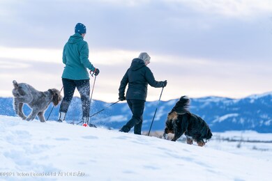 915 Mountain Bluebird Ct, Driggs, ID 83422 - photo 3