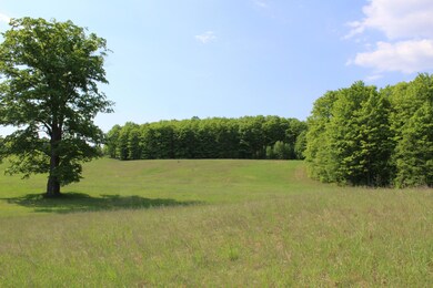 IMG_0528 - Copy