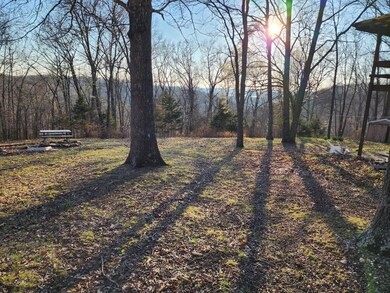 44 Northwoods Dr, Kimberling City, MO 65686 - photo 6