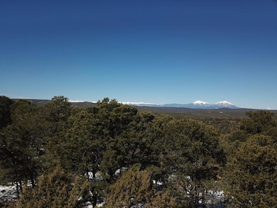 drone1-1-1024x768