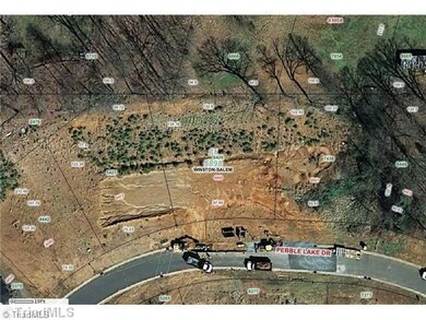 Other. Forsyth Geo Data Overview of Lot