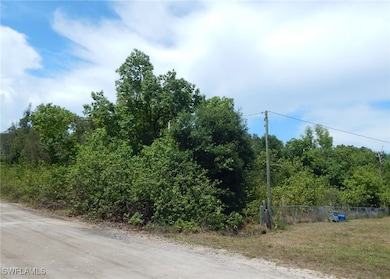 View of dirt / gravel road