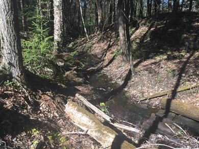 00 Ferno Rd, Williamstown, VT 05679 - photo 6