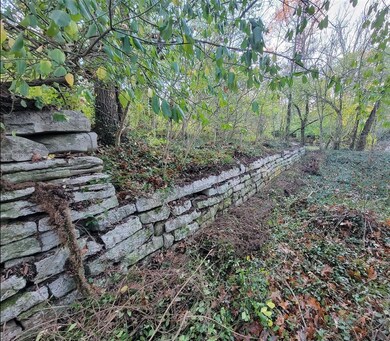 987 Pauls Mill Rd, Versailles, KY 40383 - photo 5