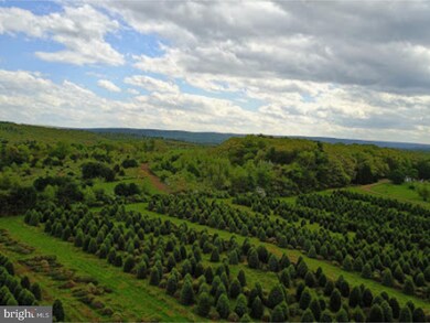 0 Sculps Hill Rd unit 1000282802, Auburn, PA 17922 - photo 3