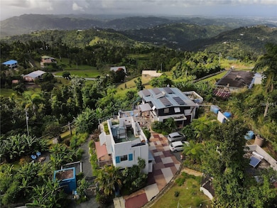 El Yunque KM 10 Carr 186, Canovanas, PR 00729 - photo 3