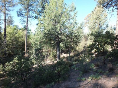 Topgraphy and Pines