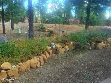 Front flower bed