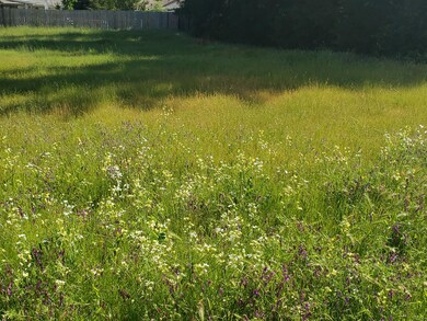 unlisted-address, Cottonwood, CA 96022 - photo 5