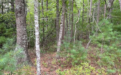 Additional View