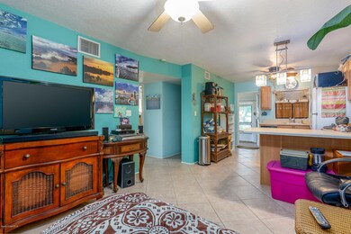 Tropical Colors!