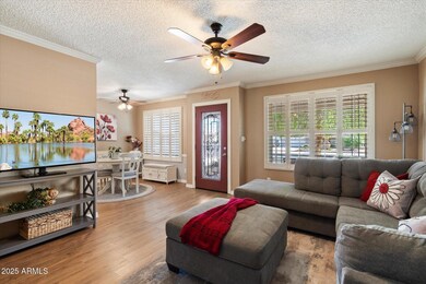 Living Room with Plantation Shutters