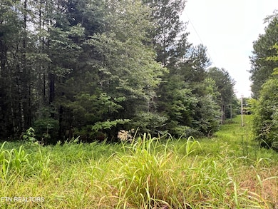 0 Lot 5 Willie Promore Rd, Decatur, TN 37322 - photo 2