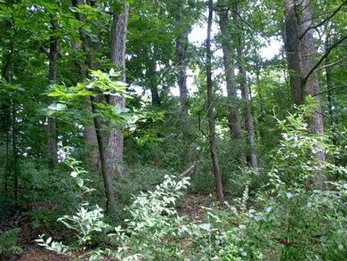 0 3rd St unit 9-12, Victoria, VA 23974 - photo 2