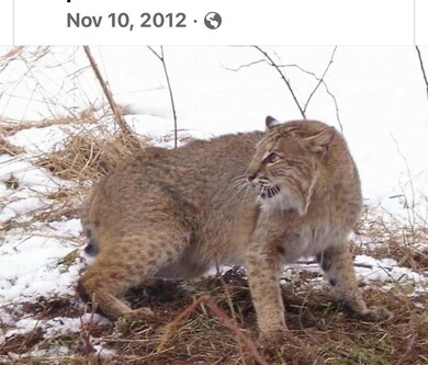 0 S 600 E unit 507500, Mill Creek, IN 46365 - photo 2