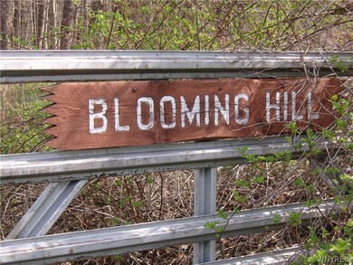 0 Scotch Blooming Hill Rd unit B1332977, Freedom, NY 14065 - photo 4