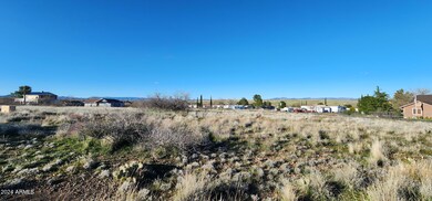 Panoramic view 1