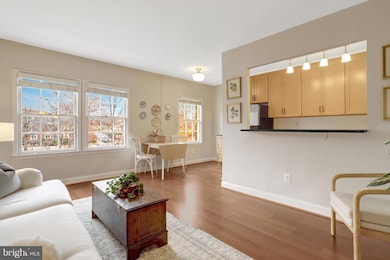 1251 E Abingdon Dr unit 1121, Alexandria, VA 22314 - photo 7