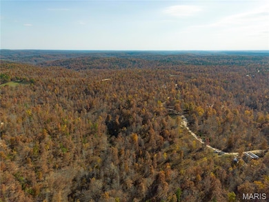 15682 Winding Trail, Birch Tree, MO 65438 - photo 7