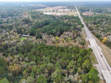 17278 & 17250 Farm To Market Road 2090, Conroe, TX 77306 - photo 7