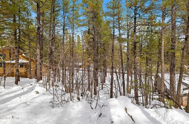 P1022895