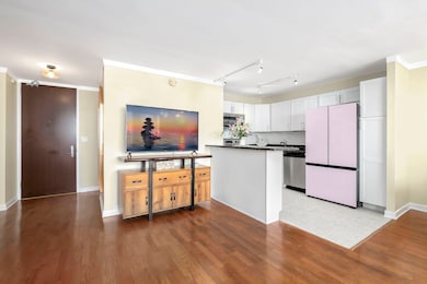 Park Place Tower unit 5308, Chicago, IL 60613 - photo 7