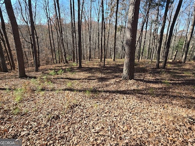 16 Country Rd, Ellijay, GA 30175 - photo 3