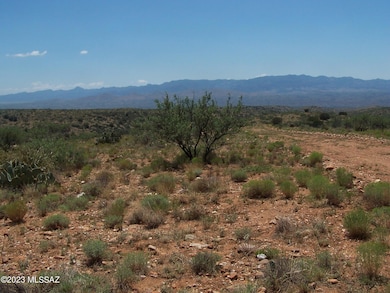 74.66ac 2 Lots Highpoint Rach unit 303-311, Willcox, AZ 85643 - photo 5