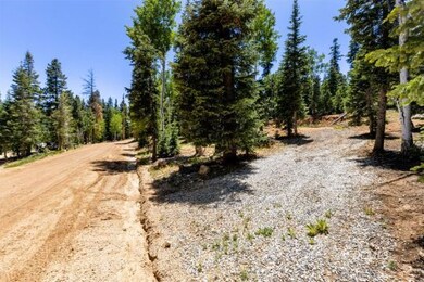 Drive way at west end of lot