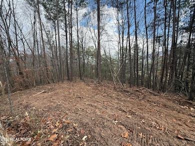 Lot 3 Parksville Rd, Benton, TN 37307 - photo 3