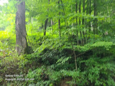 Long Branch_4