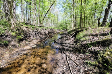 VL, Grand Junction, MI 49056 - photo 2