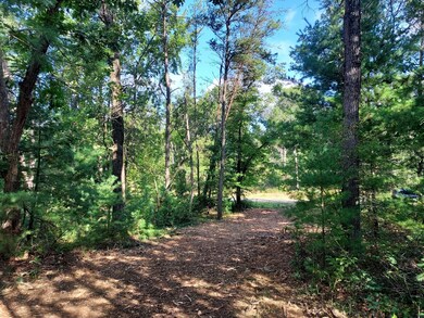 Cumberland Court Dr, Friendship, WI 53934 - photo 7